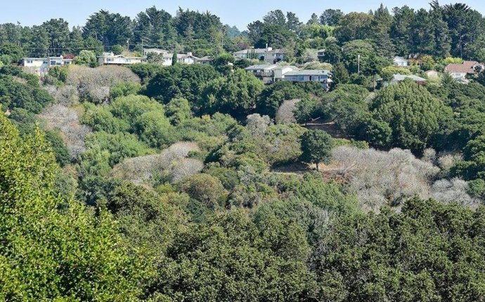 45 Berryessa Way, Hillsborough, CA 94010 - MLS 453381 - Coldwell