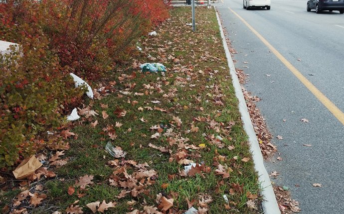 Roadside Litter Piling Up: Give a Hoot, Don