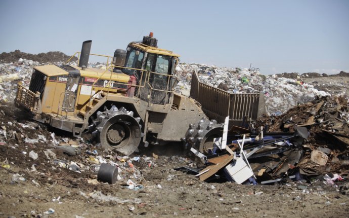 The Trash On Recology - Home