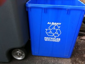 albany blue recycling bin